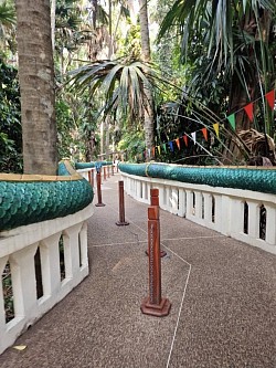 คำชะโนด