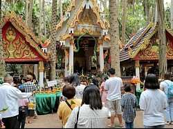 คำชะโนด